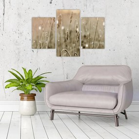 Obraz - Harmonická lúka (90x60 cm)