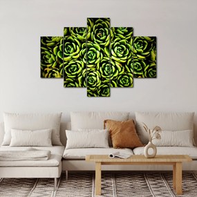 Obraz skalníc (150x105 cm)