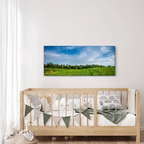 Obraz lúky (120x50 cm)