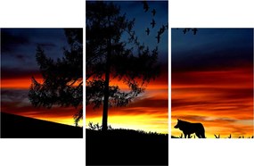 Obraz - Silueta vlka (90x60 cm)