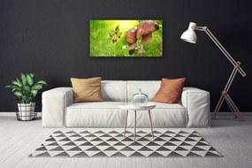Obraz na plátne Huby divoké jahody 125x50 cm