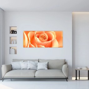 Obraz - Ruža, marhuľová farba (120x50 cm)