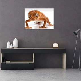 Sklenený obraz jašterice (70x50 cm)