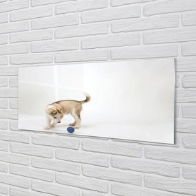 Obraz na akrylátovom skle Hrať s tým psom 120x60 cm