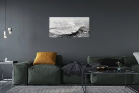 Obraz canvas Kvapky perie makro 120x60 cm