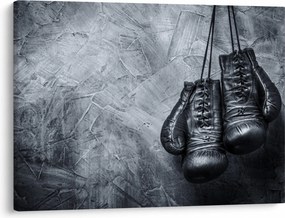 Obraz - Boxerské rukavice (70x50 cm)