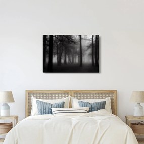 Obraz - Les v hmle (90x60 cm)