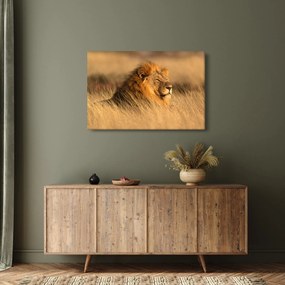 Obraz - Národný park Etosha (90x60 cm)