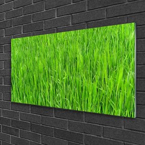 Skleneny obraz Zelená tráva príroda trávnik 125x50 cm