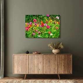 Obraz lúčnych kvetov (90x60 cm)
