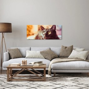 Obraz čiernej mačky (120x50 cm)