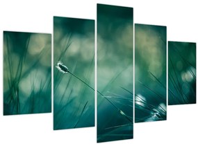 Obraz - Detail trávy (150x105 cm)