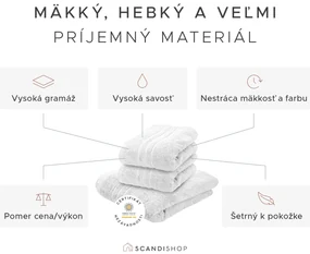 Uterák Classic 50 x 100 cm fialový, 100% bavlna