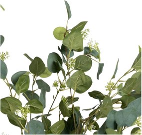Umelý eukalyptus (výška 173 cm) Eucalyptus – Ixia