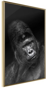 Artgeist Plagát - Gorilla [Poster] Veľkosť: 30x45, Verzia: Čierny rám