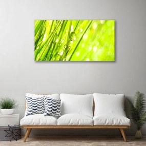 Obraz Canvas Príroda kvapky tráva 140x70 cm