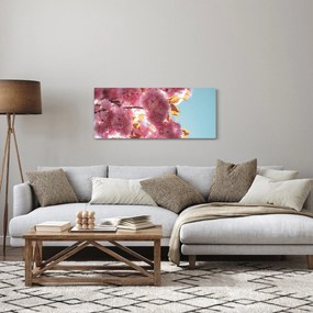 Obraz - Čerešňový kvet (120x50 cm)