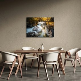 Sklenený obraz - Lesný potok (70x50 cm)