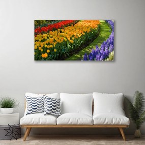 Obraz Canvas Kvety záhrada tulipány 140x70 cm