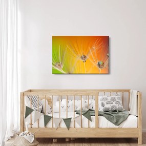 Obraz kvapiek na rastline (90x60 cm)