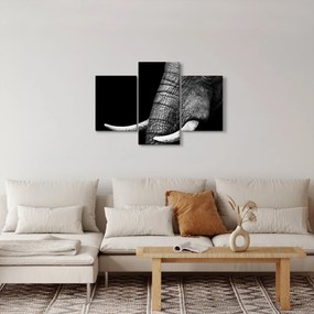 Obraz - Slonie kly (90x60 cm)