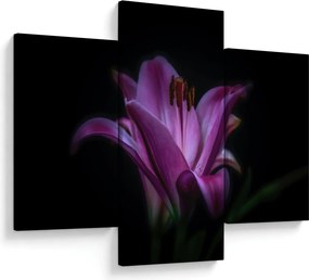 Obraz ľalia (90x60 cm)