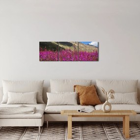 Obraz scenérie horské lúky (s hodinami) (90x30 cm)