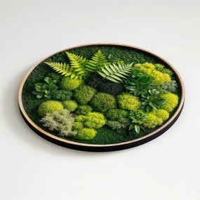 DUBLEZ | Drevený obraz s 3D efektom machu - Papradie