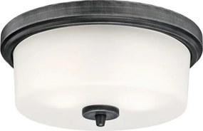 Westinghouse 6325140 - Stropné svietidlo CEDRIC 2xE27/40W/230V priemer 33 cm