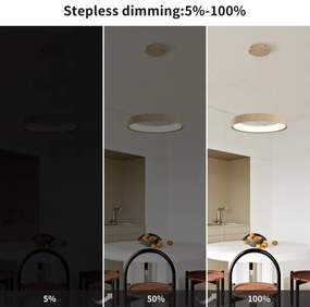 Brilagi - LED stmievateľný luster na lanku FALCON MODERN LED/30W/230V 40 cm béžový + diaľkové ovládanie