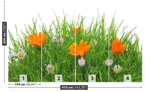 Fototapeta Vliesová Veľkonočné kvety 250x104 cm