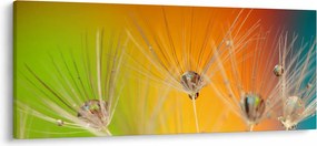 Obraz kvapiek na rastline (120x50 cm)