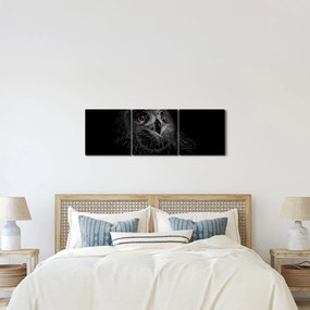 Obraz - Sova, ilustrácie (s hodinami) (90x30 cm)