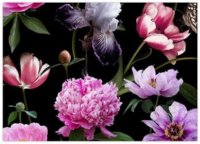 Obraz - Ilustrácie kvetov (70x50 cm)