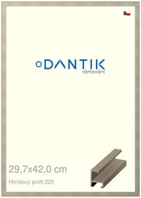 DANTIK rám na obraz 29,7x42 | ALU champagne (Plexi Čiré)