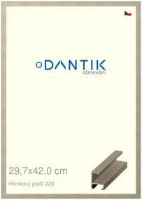DANTIK rám na obraz 29,7x42 | ALU champagne (Plexi Čiré)