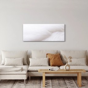 Obraz - Biele pierko (120x50 cm)