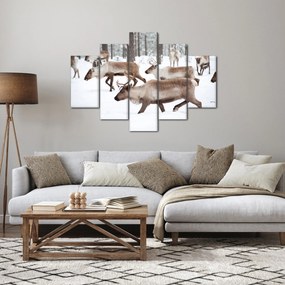 Obraz - Soby (150x105 cm)