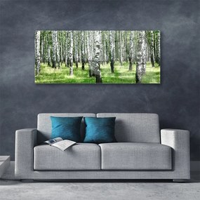 Obraz plexi Les tráva rastlina príroda 125x50 cm
