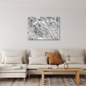 Obraz - Zasnežené vetvy (70x50 cm)
