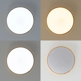 Brilagi - stmievateľné LED stropné svietidlo PINE LED/24W/230V + diaľkové ovládanie