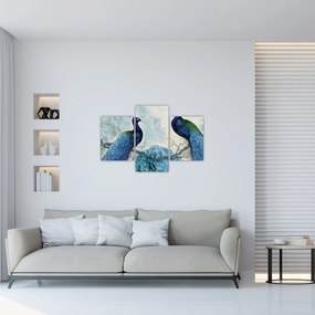 Obraz - Pávy s textúrami (90x60 cm)
