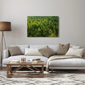 Obraz - Hustý les (90x60 cm)