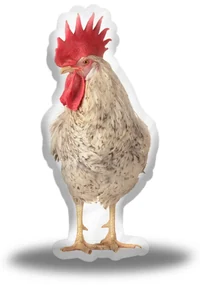 Sablio 3D vankúš Kohút