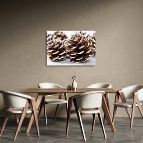 Sklenený obraz - Šišky (70x50 cm)