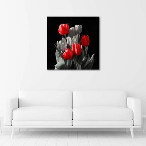 Obraz na plátně Tulipánové květiny Červená šedá - 40x40 cm