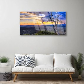 Skleneny obraz Strom zápas slnko 125x50 cm