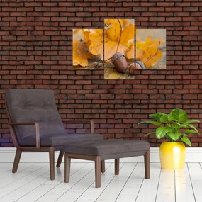 Obraz - Jesenné žalude (90x60 cm)