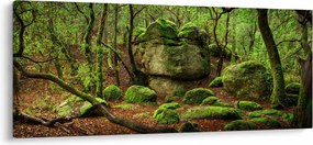Obraz čarovného lesa (120x50 cm)