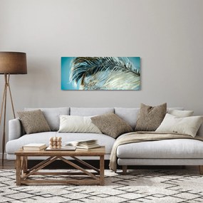 Obraz pierka (120x50 cm)